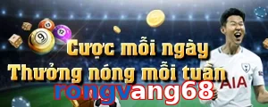 rongvang68